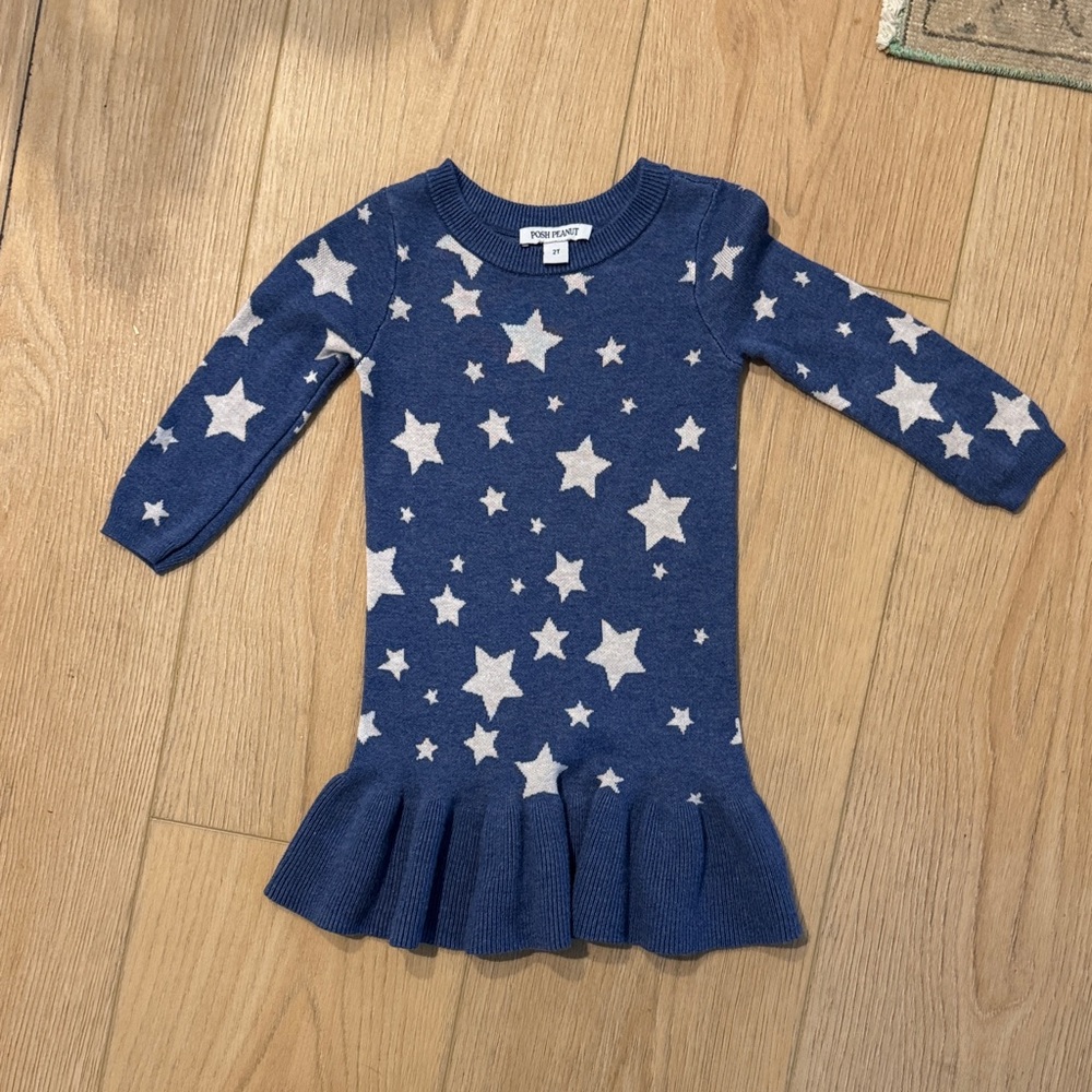 Posh Peanut Navy Starry Dress 2T
